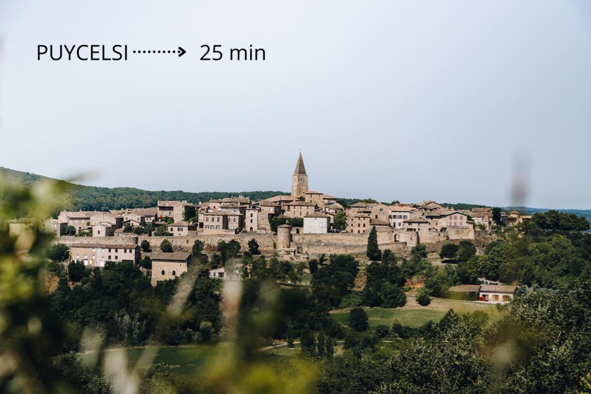 Jolie Maison - Calme - Jardin - Gaillac Exteriör bild