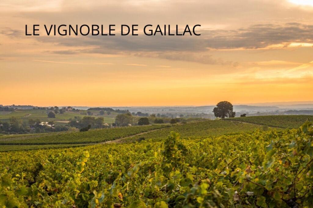 Jolie Maison - Calme - Jardin - Gaillac Exteriör bild